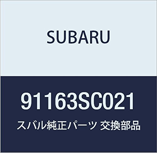 SUBARU (スバル) 純正部品 プロテクタ リヤ アーチ ロア ライト フォレスター 5Dワゴン 品番91163SC021_画像1