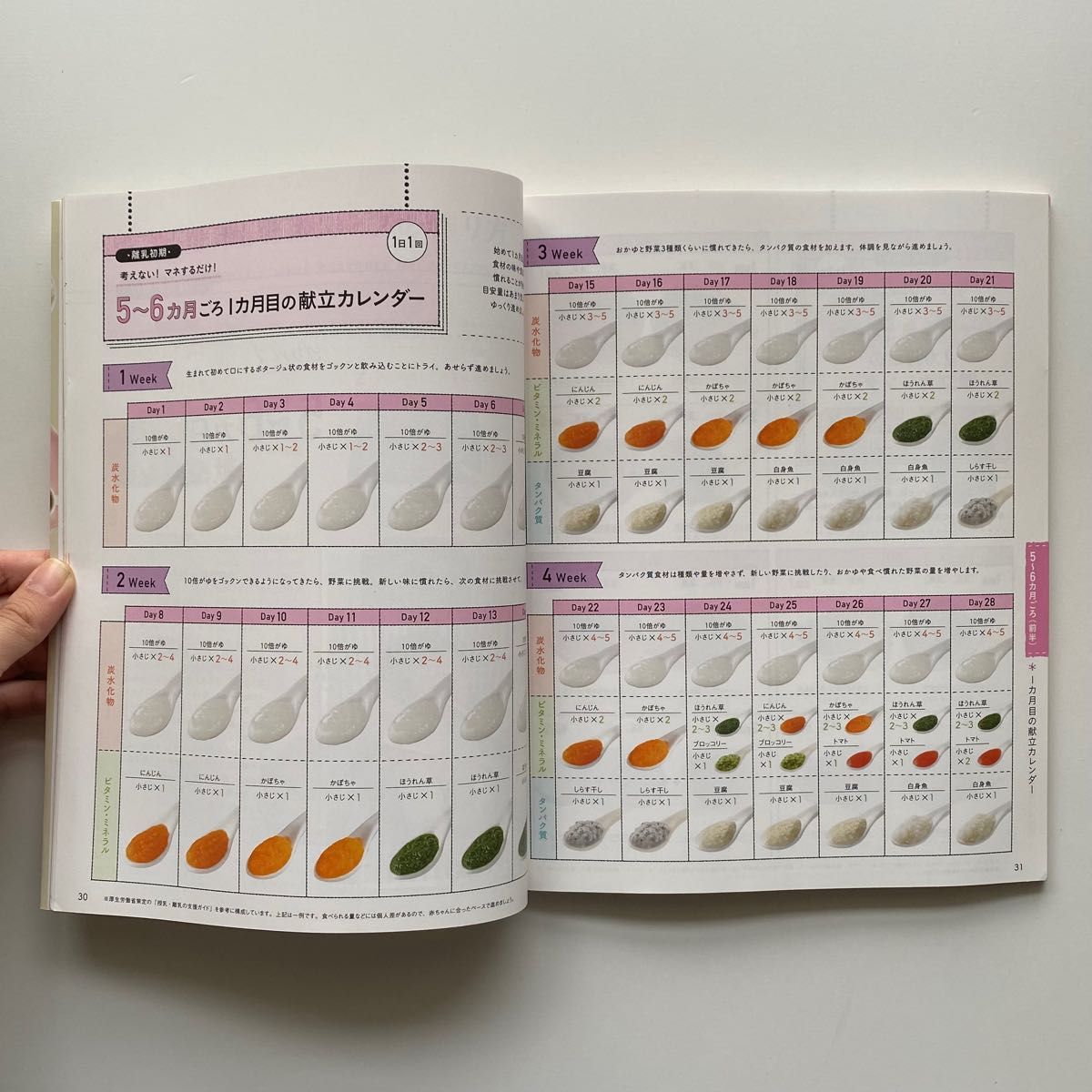 初めてママ＆パパのための365日の離乳食カレンダー