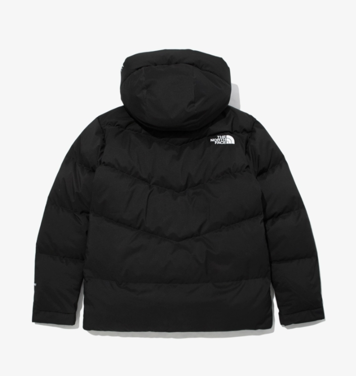 THE NORTH FACE ノースフェイス ダウンジャケット メンズ レディース FREE MOVE DOWN JACKET 人気 グース ダウン ブラック/L K267B_画像5