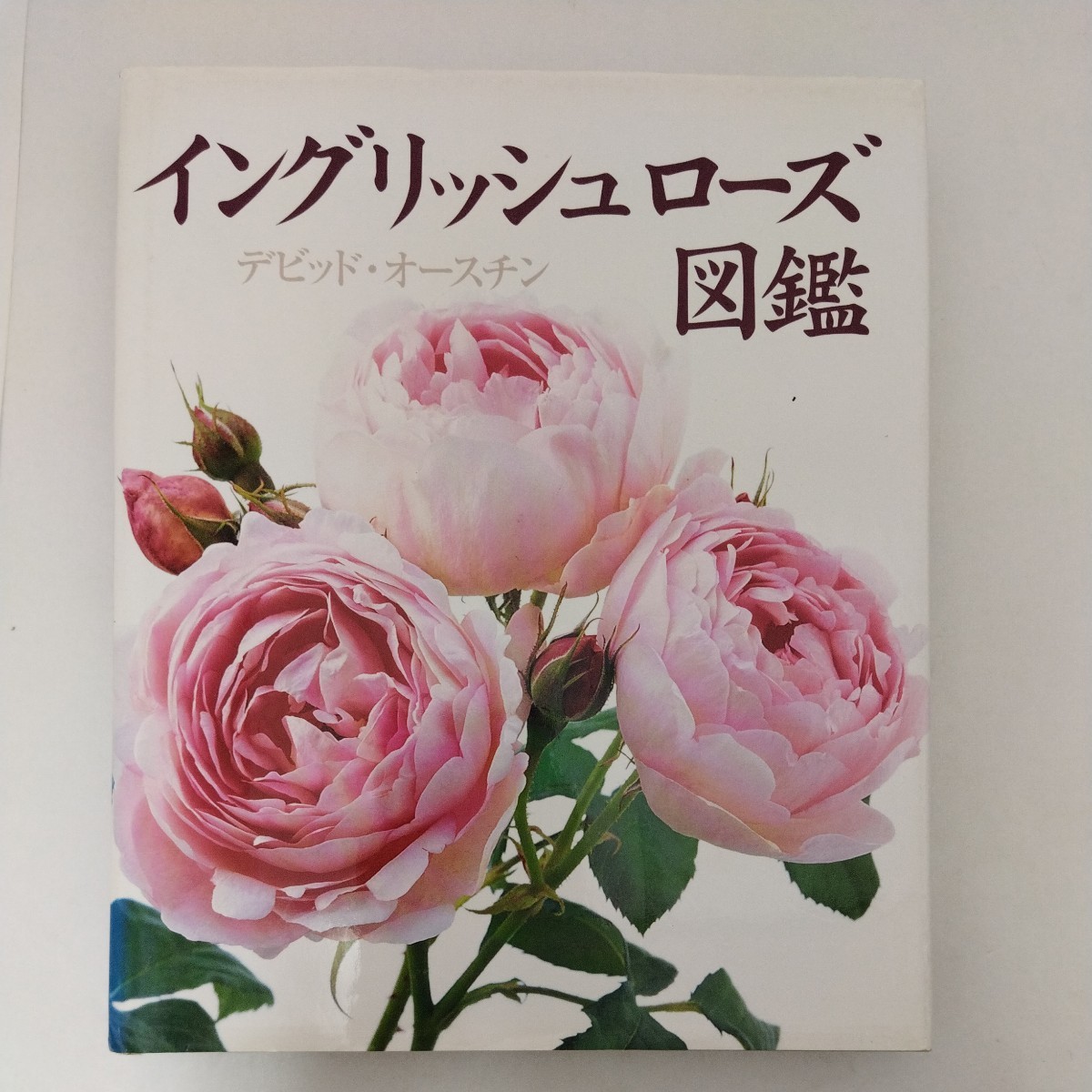 wing lishu rose illustrated reference book David * Austin middle .... translation flat hill . editing cooperation rose 