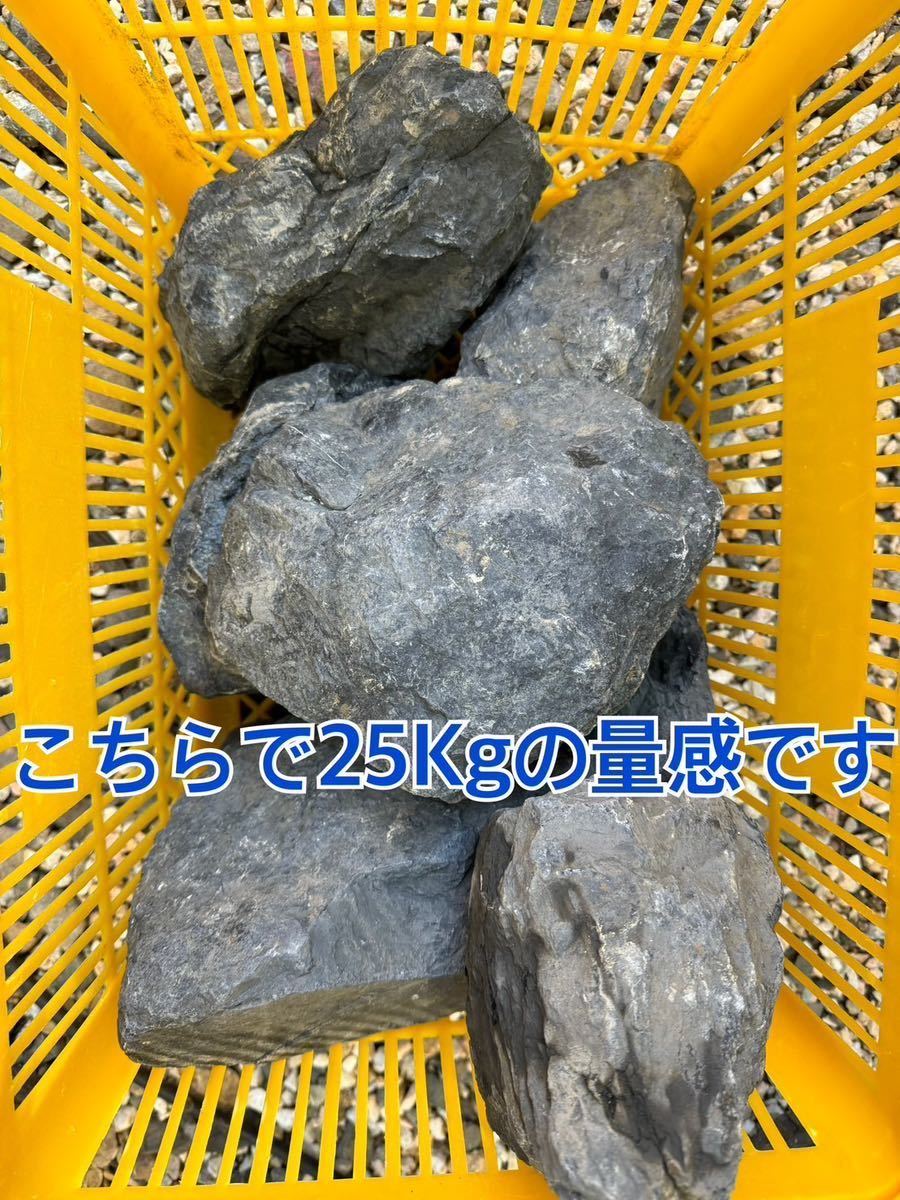 厳選 25kg 庭石 ロックガーデン  ドライガーデン 青砕石 グレーブルーブラック ガビオン 石材 門柱 アクアリウム アプローチの画像5