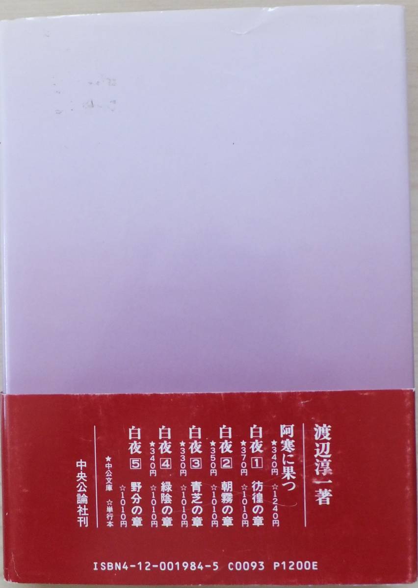 影絵　ある少年の愛と性の物語　渡辺淳一　1990年初版・帯　中央公論社_画像2