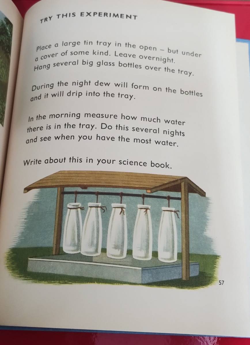 洋書　Awake to Science　BOOK TWO:WATER　科学　理科　実験　海外の児童書　英語の本　語学　ディスプレイ　ヴィンテージ_画像6