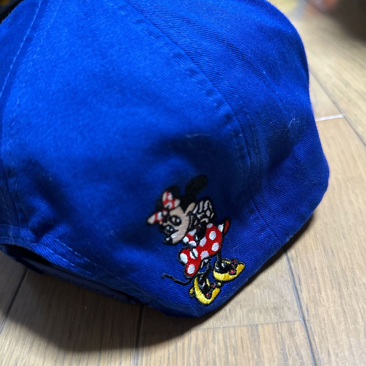 ディズニーランド購入☆リゾートライン&キャラクター刺繍入りキャップ 帽子