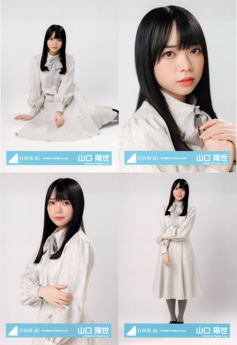 山口陽世生写真コンプセット