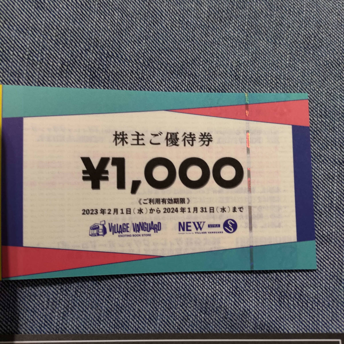 ヴィレッジヴァンガード 株主優待券 12000円分 (1000円券×12枚) 　ヴィレヴァン　ビレバン_画像3