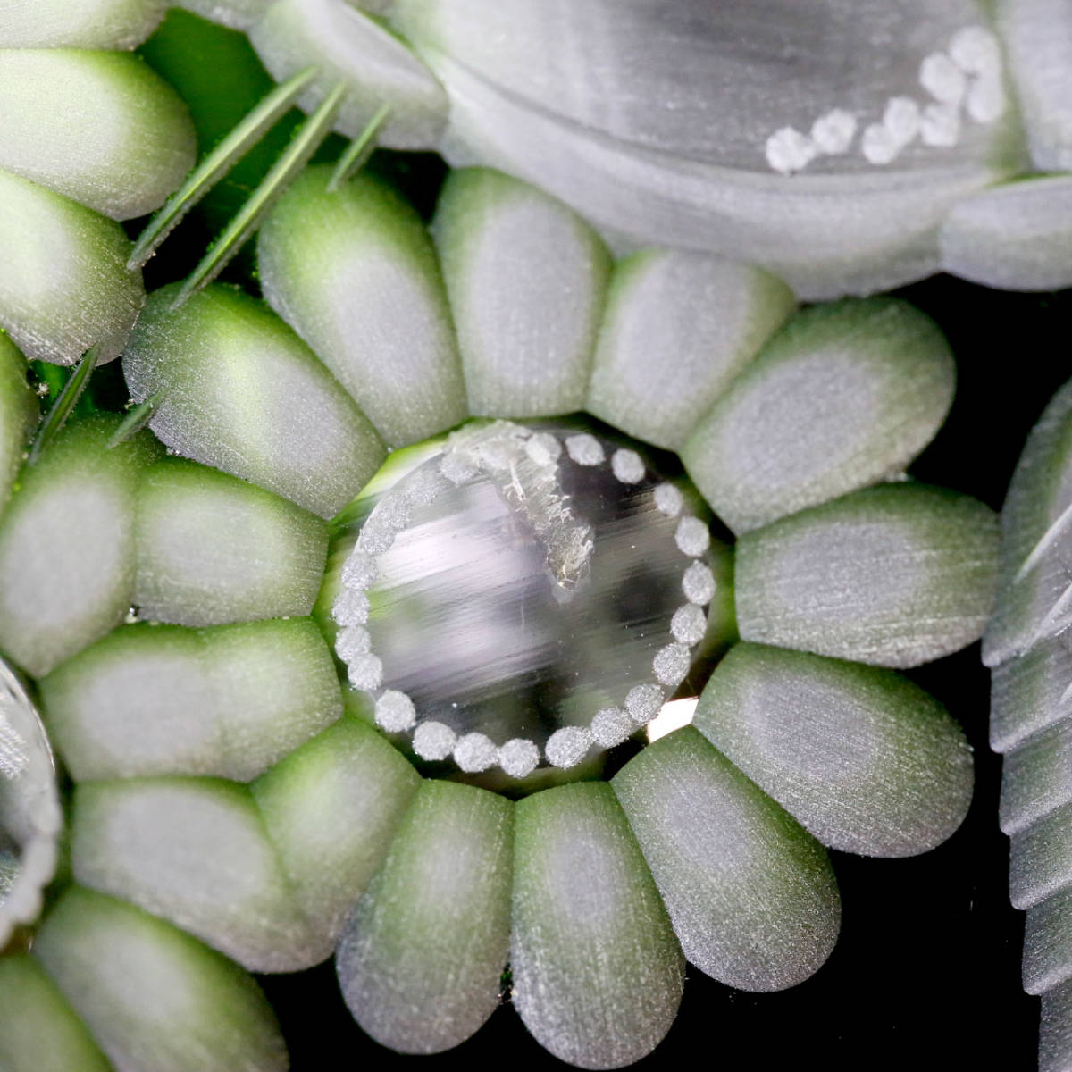 [ прекрасный товар включая доставку ] Meissen crystal Mystic цветок зеленый ваза 