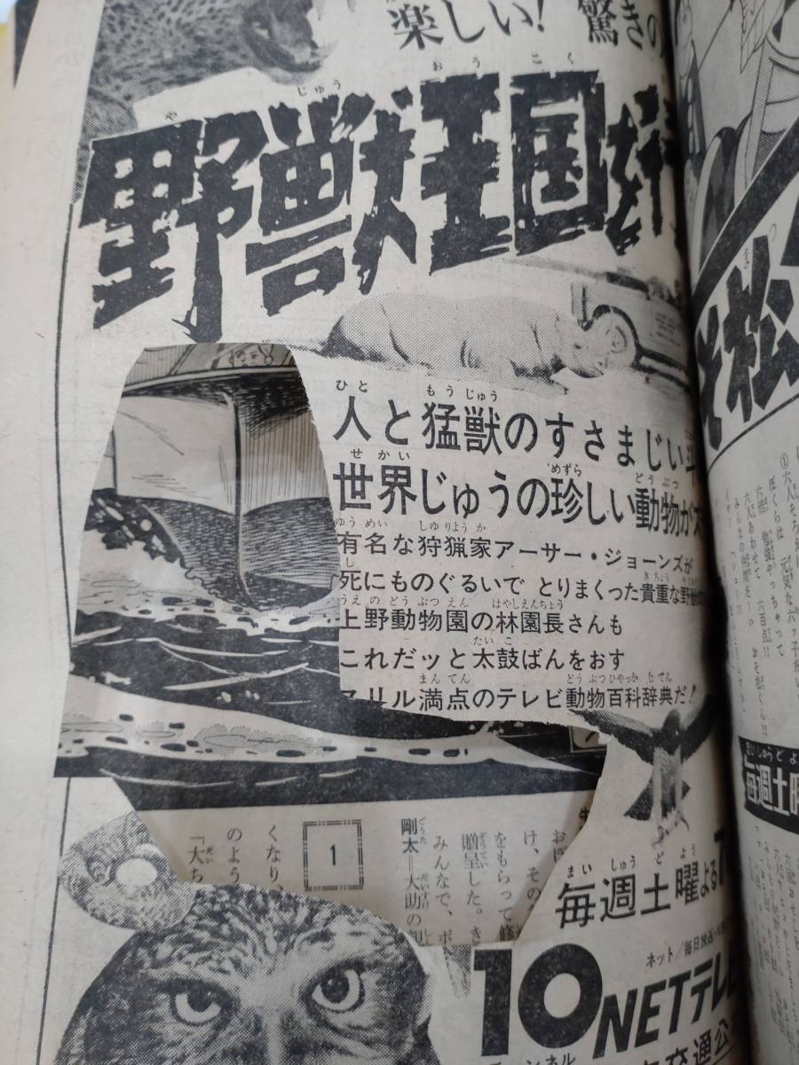 少年サンデー　1966年昭和41年2月6日号　手塚治虫　藤子不二雄　赤塚不二夫　横山光輝　望月三起也　川崎のぼる　関谷ひさし_画像9