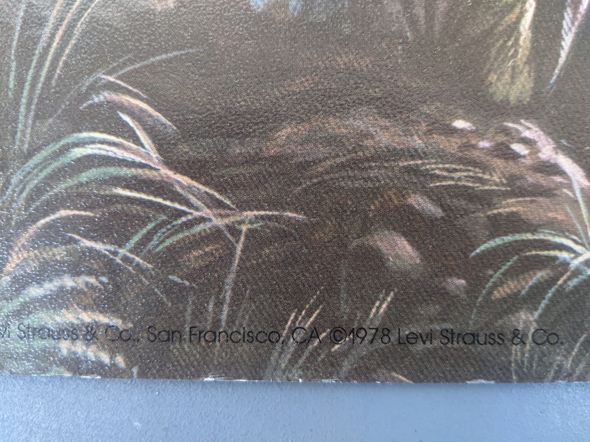 リーバイス　levis　1978年　ヴィンテージ　ポスター　BIGE　スモールe　赤タブ　デッドストック　501　LEVIS　非売品　販促品　希少　当時_画像2
