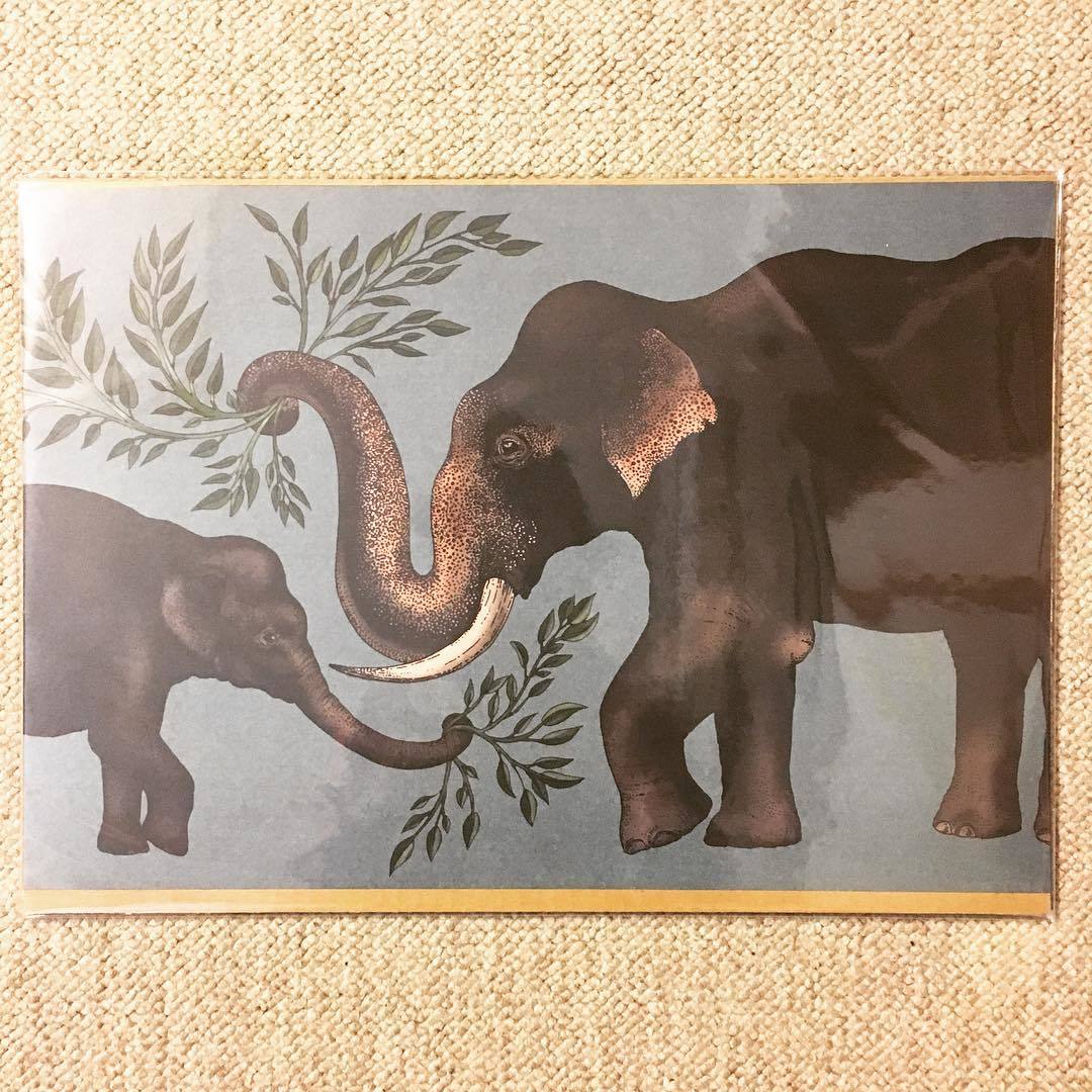 ヤフオク ミニ ポスター 動物画 イラスト 象 ヤフオク ミニ ポスター 動物画 イラスト 象