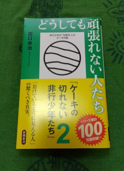 どうしても頑張れない人たち ケーキの切れない非行少年たち2 宮口幸治_画像1