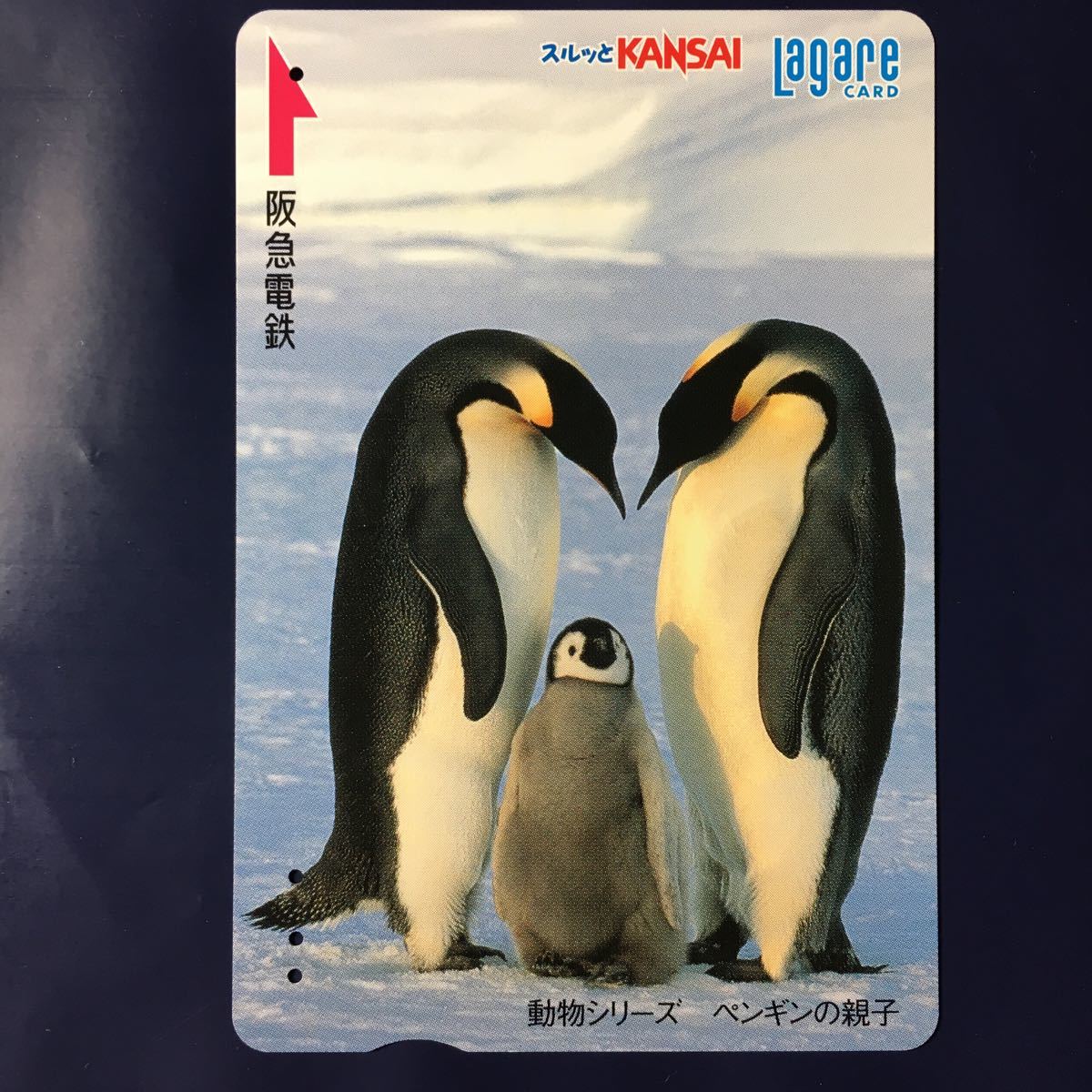 2007年12月25日発売柄ー動物シリーズ「ペンギンの親子」ー阪急ラガールカード(使用済スルッとKANSAI)_画像1