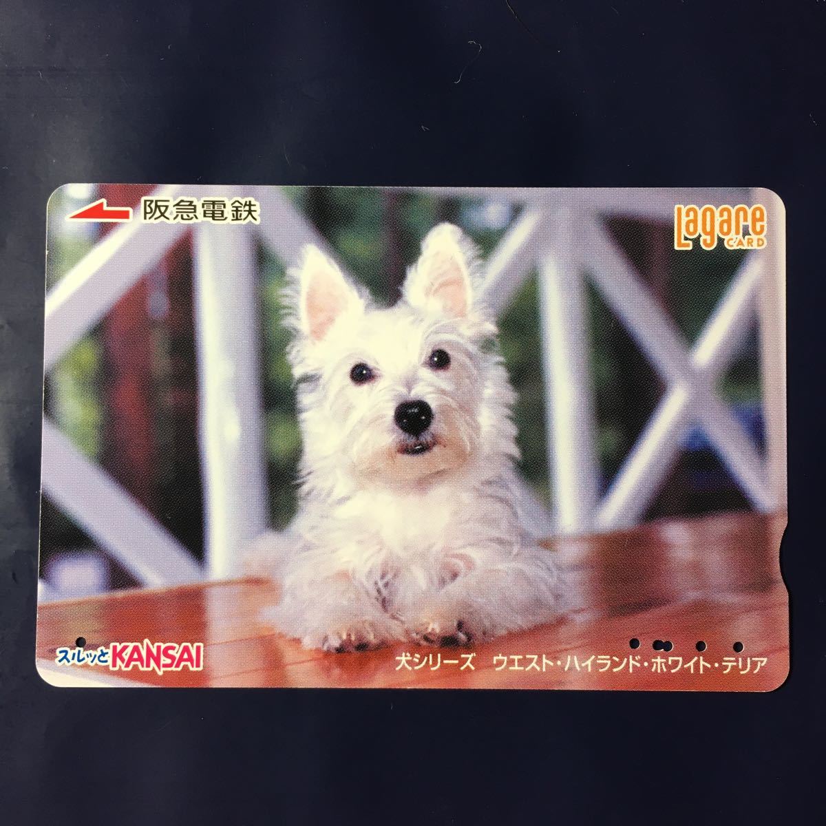 2006 год 7 месяц 25 день продажа рисунок - собака серии [ талия * Highland * белый * терьер ]-. внезапный la девушка карта ( использованный Surutto KANSAI)