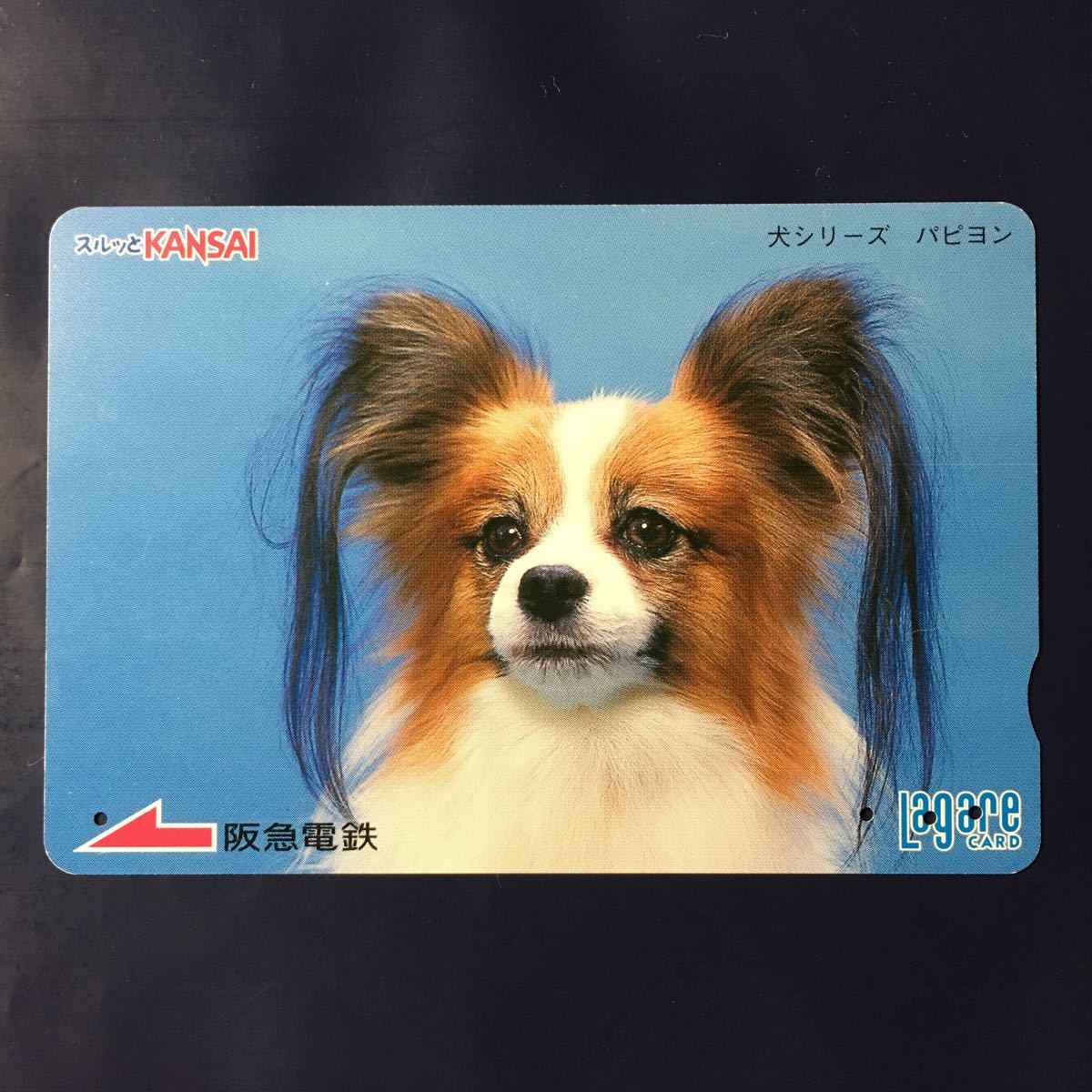 2006年10月25日発売柄ー犬シリーズ「パピヨン」後年再販版ー阪急ラガールカード(使用済スルッとKANSAI)_画像1