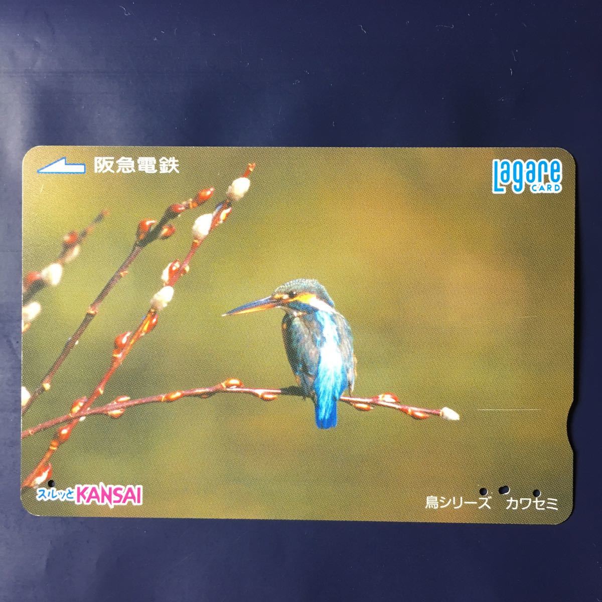 2005年4月1日発売柄ー鳥シリーズ「カワセミ」ー阪急ラガールカード(使用済スルッとKANSAI)_画像1