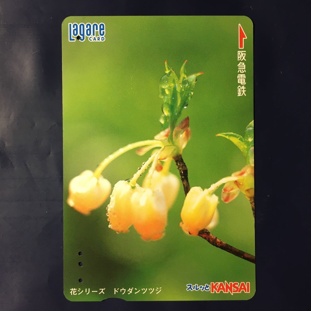 2005 год 4 месяц 25 день продажа рисунок - цветок серии [dou Dan азалия ]-. внезапный la девушка карта ( использованный Surutto KANSAI)