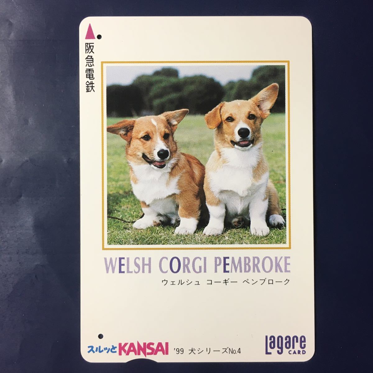 1999年9月1日発売柄ー犬シリーズ「ウェルシュ　コーギー　ペンブローク」ー阪急ラガールカード(使用済スルッとKANSAI)_画像1