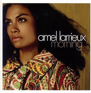 名盤 Amel Larrieux Morning アメル・ラリュー 　日本国内盤帯付き　元Groove Theoryのボーカリスト　透明感のある癒しの歌声は健在。_画像1