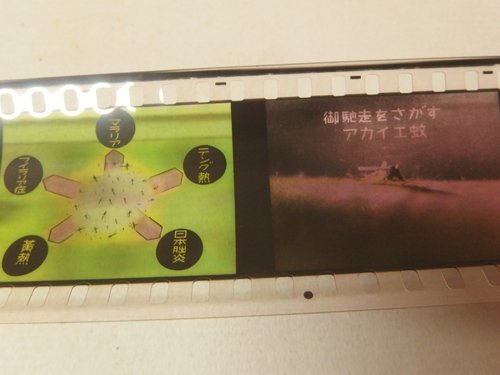 1130464a【アクメスライド 35mmフィルム 「蚊の話」】昭和レトロ/カラー/漫画/ケース入り/経年品_画像5
