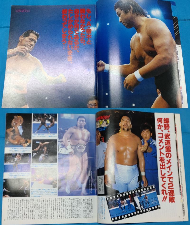 K 「週刊プロレス 緊急増刊 1993年(平成5年)代多め バラ17冊」  詳しくは説明文にて の画像7