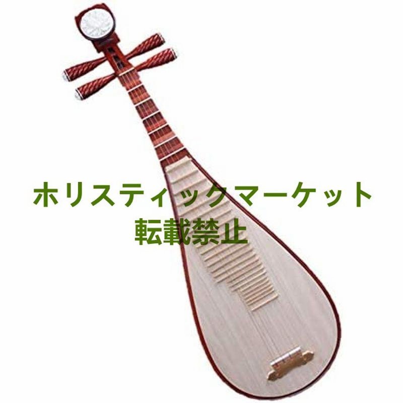  quality guarantee China musical instruments biwa musical instruments tools and materials traditional Japanese musical instrument 