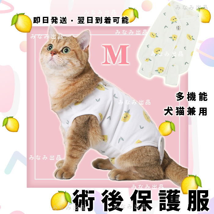 [ лимон M] кошка собака . после одежда .... рука . кожа защита самка ветеринарный воротник одежда 