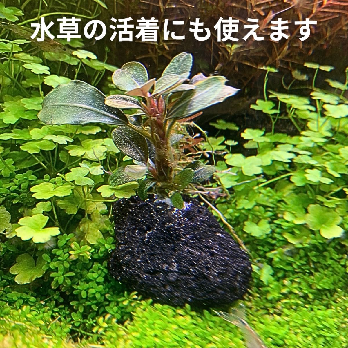 溶岩石 2kg サイズミックス 水槽レイアウトにおすすめ！ アクアリウム  素材 ハンドメイド  盆栽  苔庭