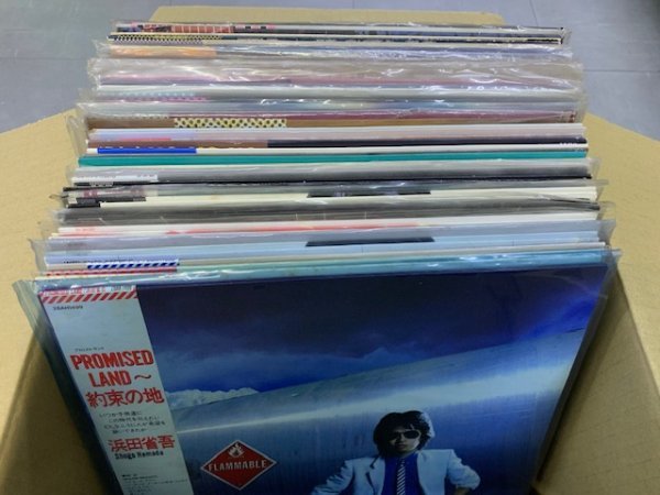 LP 48枚セット 和モノ 邦楽 昭和 J-POP 80年代 いろいろまとめて 大量 放出 お買い得 アン・ルイス 大沢誉志幸 小比類巻かほる 吉川晃司_画像1