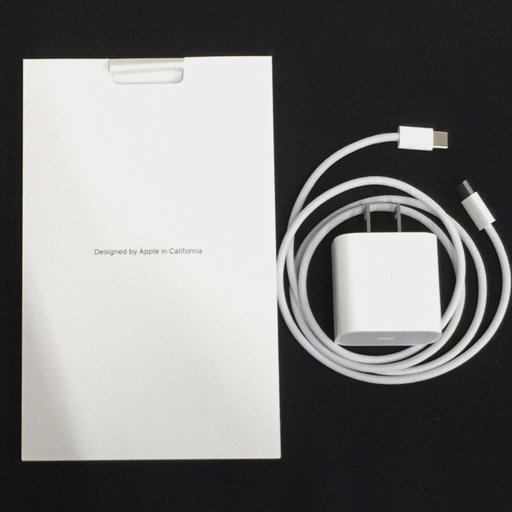 1円 Apple iPad 第10世代 10.9インチ Wi-Fi 64GB A2696 MPQ03J/A シルバー タブレット 本体の画像9