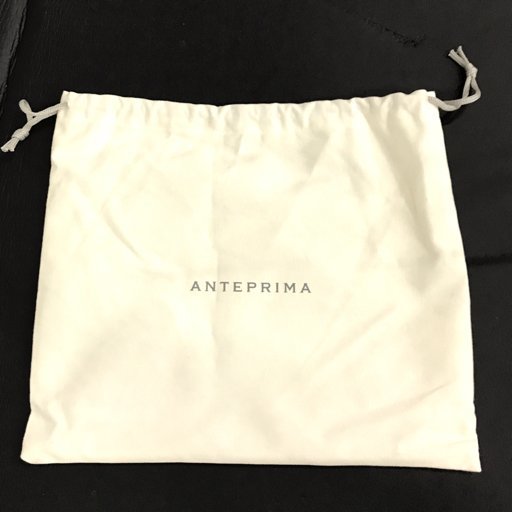 アンテプリマ ワイヤー ハンドバッグ チェーン レディース パープル 花 パーティーバッグ ANTEPRIMA 保存袋付き_画像5
