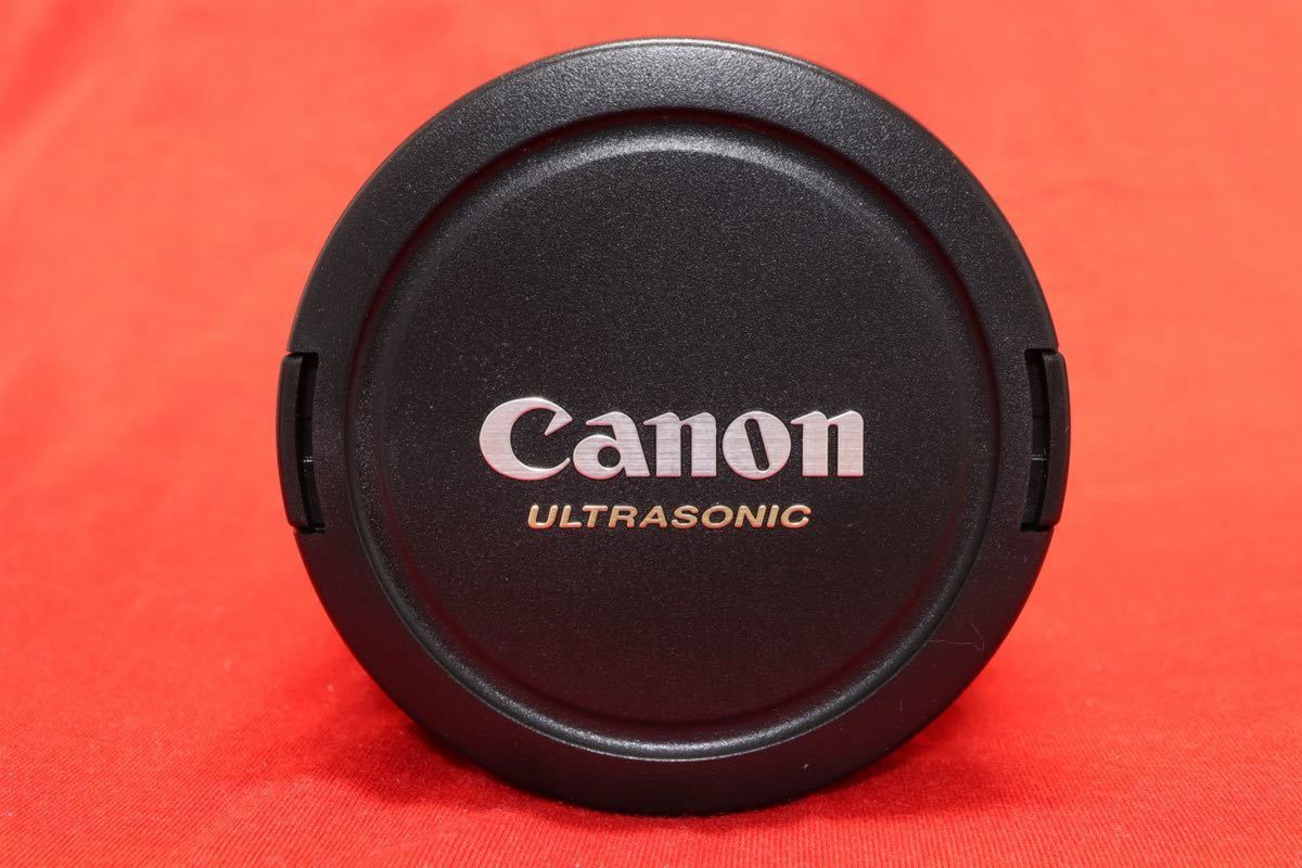Canon EF24-70mm F2 8L USM キヤノンの光学技術の粋を集めた「L Canon EF24-70mm F2 8L USM キヤノンの光学技術の粋を集めた「L