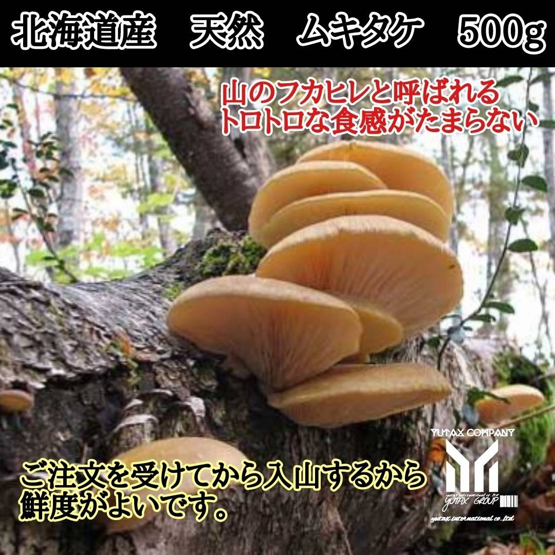 Hokkaido Mukitake Mushroom 500㌘,