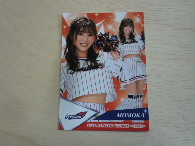 BBM 2023 華　53 MOMOKA Passion 東京ヤクルトスワローズ プロ野球チアリーダーカード DANCING HEROINE_画像1