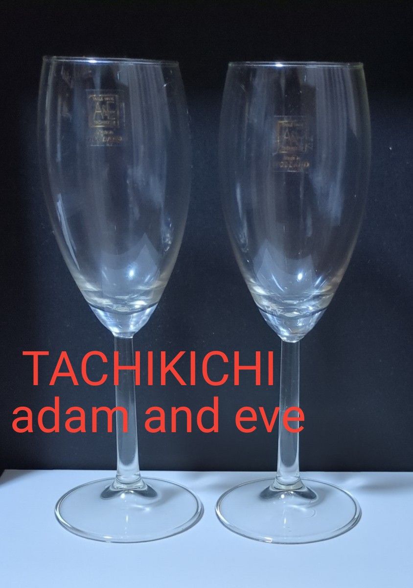 ワイングラスペア　TACHIKICHI A＆E 　たち吉