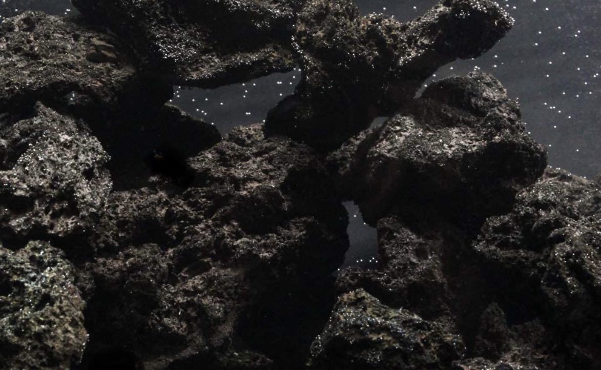 富士山溶岩 高濾過 溶岩石 3kg 50-100㎜ 黒 水槽 アクアリウム ビオトープ水槽　アクアリウム　石　水槽レイアウト　水質改善　メダカ_画像1