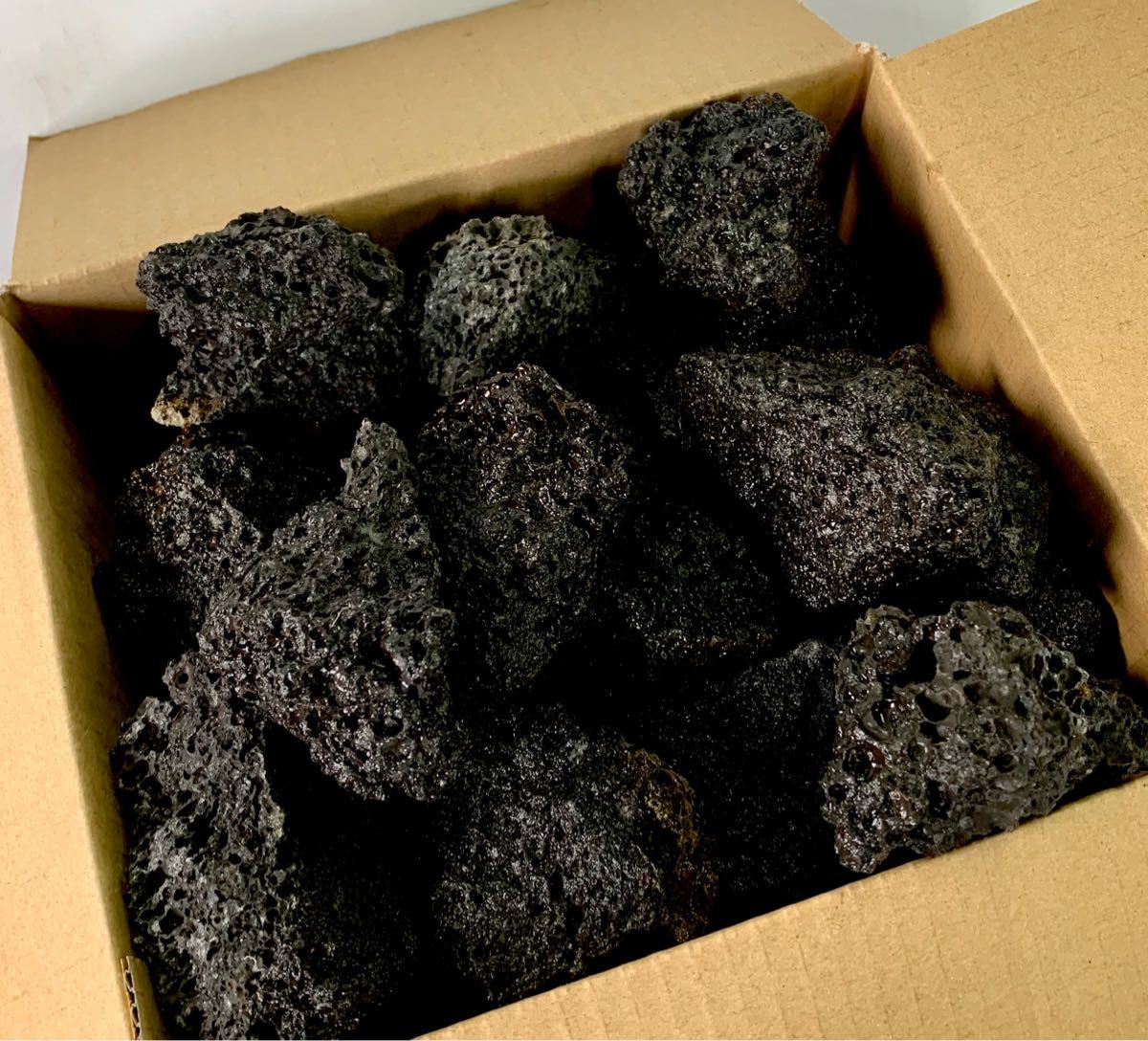 富士山溶岩 高濾過 溶岩石 3kg 50-100㎜ 黒 水槽 アクアリウム