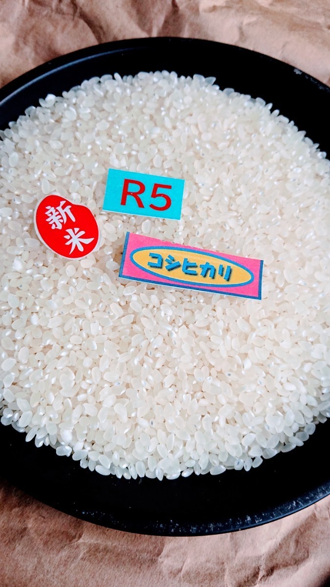 ◆高地栽培米◆ R５年産 新米コシヒカリ １等精米　２０kg　_画像1