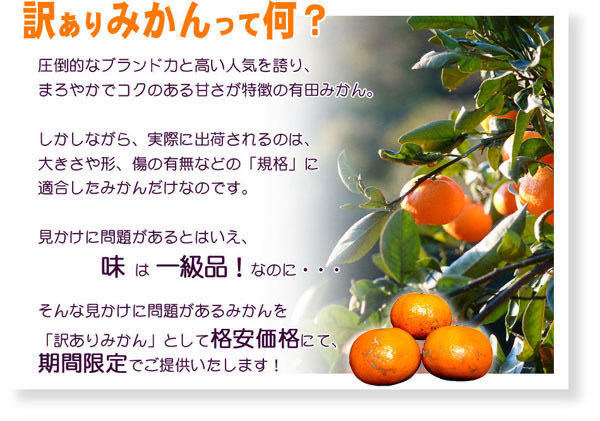 有田みかん　ゆら早生　　小玉　訳あり10ｋｇ　送料無料(北海道、沖縄県、東北地方除く)_画像4