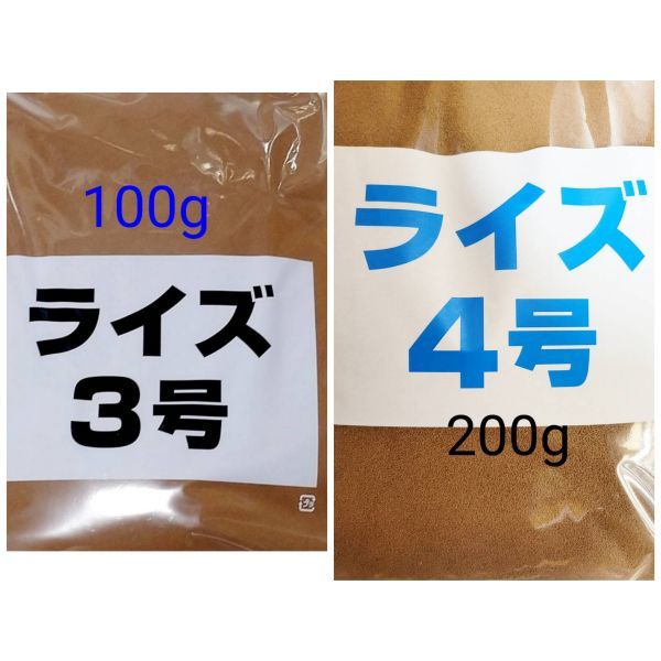 メダカの餌 ライズ3号 100g ライズ4号 200g 日清丸紅 熱帯魚 グッピー カラシン_画像1