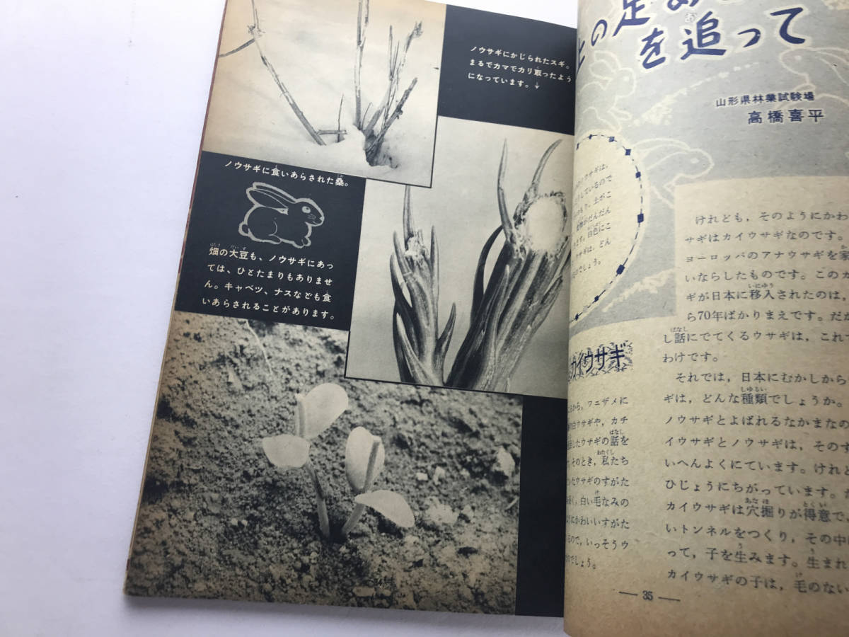 科学の教室 1960年不揃い6冊 岡田要 湯川秀樹 学習研究社の画像9