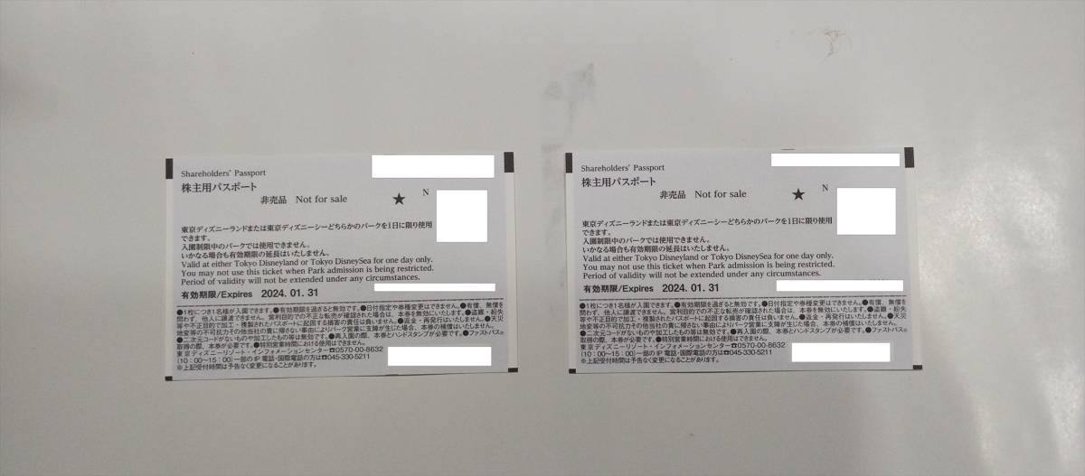 【送料無料】東京ディズニーリゾート 株主用パスポート　チケット2枚　2024年1月31日迄有効 _画像2