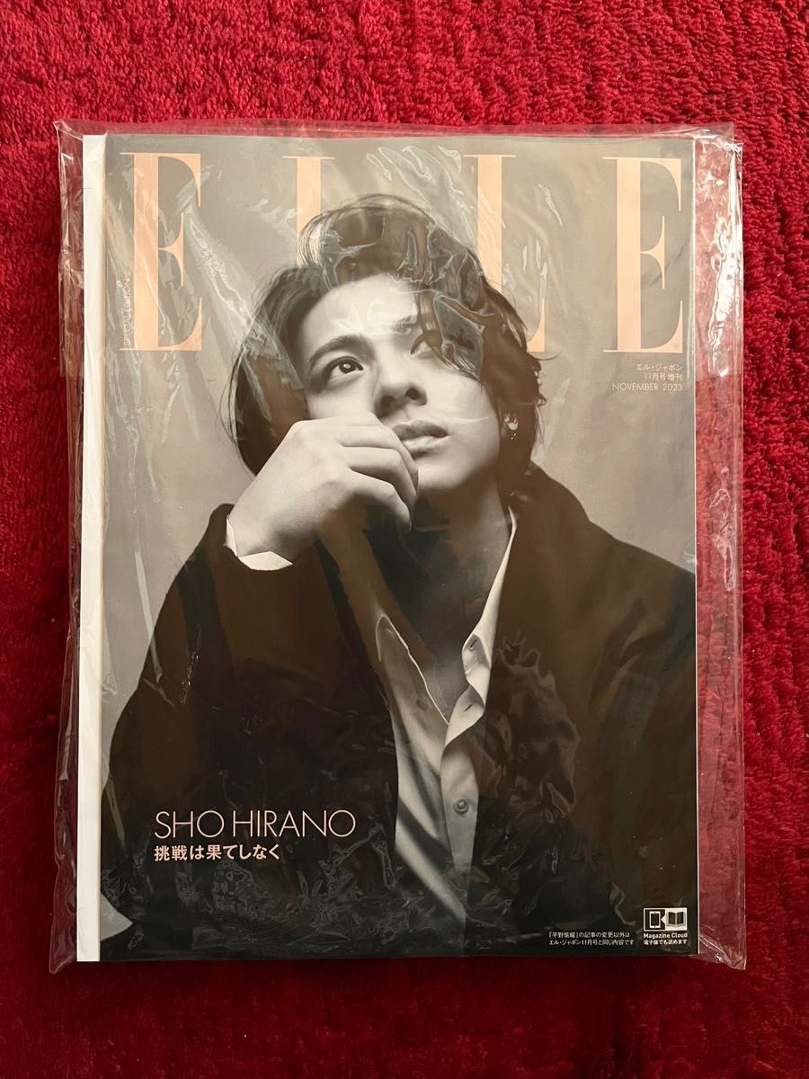 ELLE JAPON 特別版 11月号増刊 平野紫耀