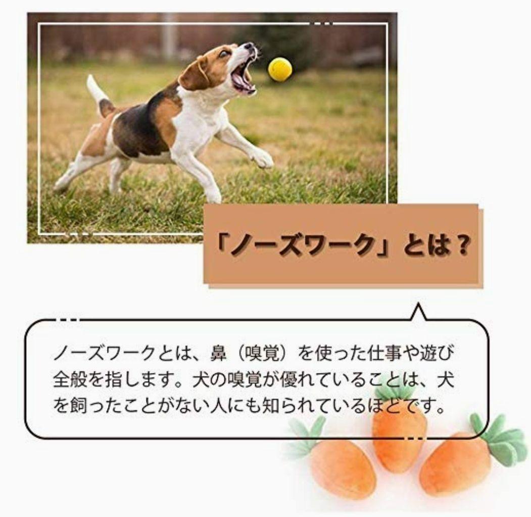 ペット用 おもちゃ ノーズワーク にんじん畑 12本 嗅覚訓練 犬 猫_画像2