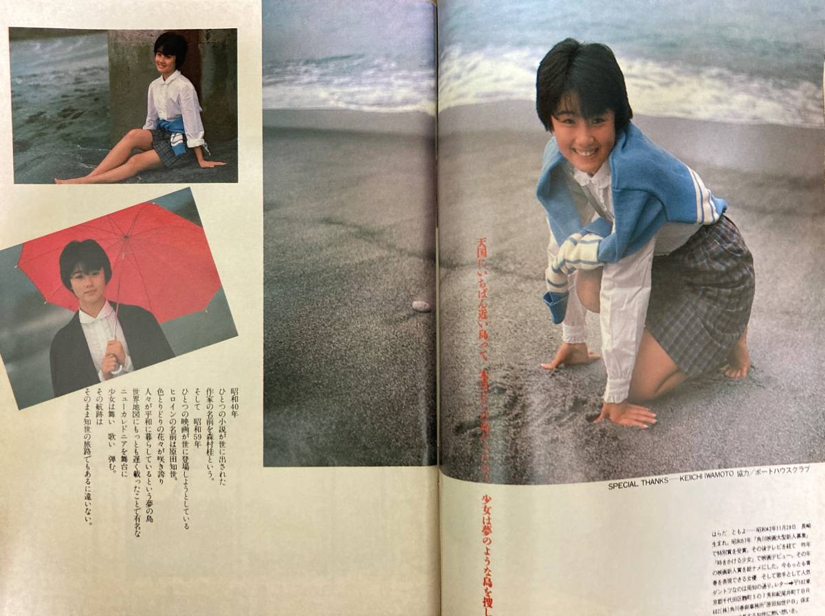 週刊プレイボーイ 昭和60年1月1日 菊池桃子 早見優 原田知世 松田聖子(広告) 渡辺桂子 松森正 薬師丸ひろ子 赤坂麗 秋山紀子 _画像8