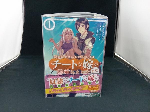 1～9巻セット 異世界でスキルを解体したらチートな嫁が増殖しました　概念交差のストラクチャー 店舗受取可_画像1