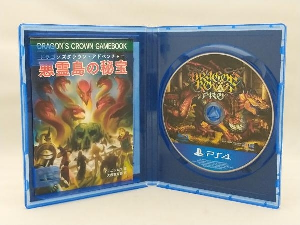 PS4 ドラゴンズクラウン・プロ_画像4