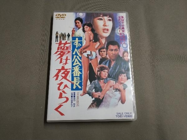 DVD ずべ公番長 夢は夜ひらく_画像1