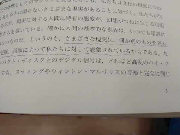 書き込み線あり エリアーデ・オカルト事典 鶴岡賀雄_画像3