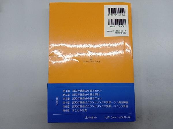 認知療法・認知行動療法カウンセリング 初級ワークショップ 伊藤絵美の画像3