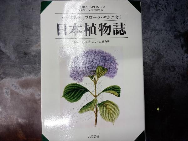 日本植物誌 シーボルト_画像1